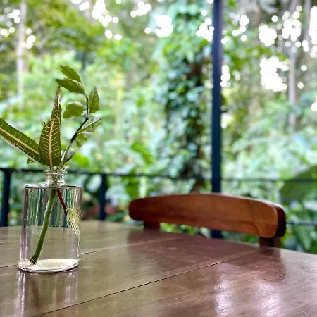 Casa Eden - Modern Peaceful Jungle Apartments Cocles Exterior photo