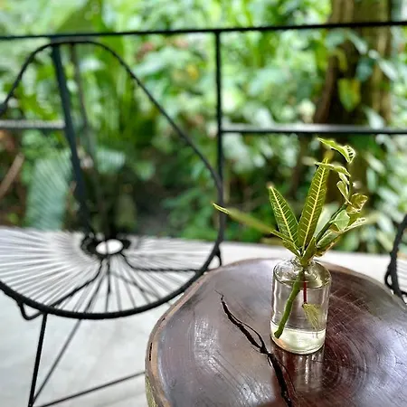 Casa Eden - Modern Peaceful Jungle Apartments Cocles Exterior photo