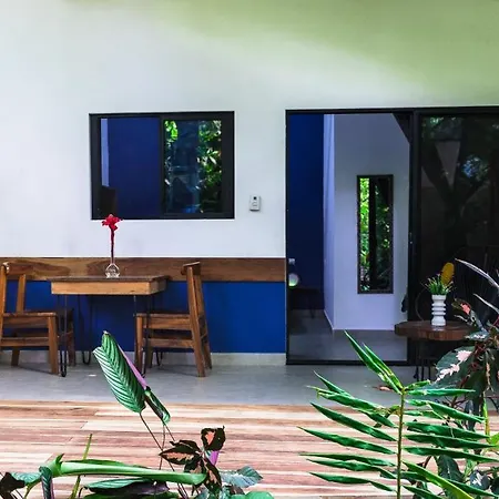 Casa Eden - Modern Peaceful Jungle Apartments Cocles Exterior photo