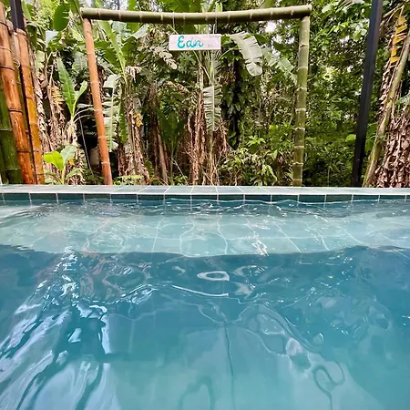 Casa Eden - Modern Peaceful Jungle Apartments Cocles Room photo
