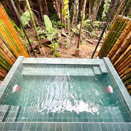 Casa Eden - Modern Peaceful Jungle Apartments Cocles Room photo