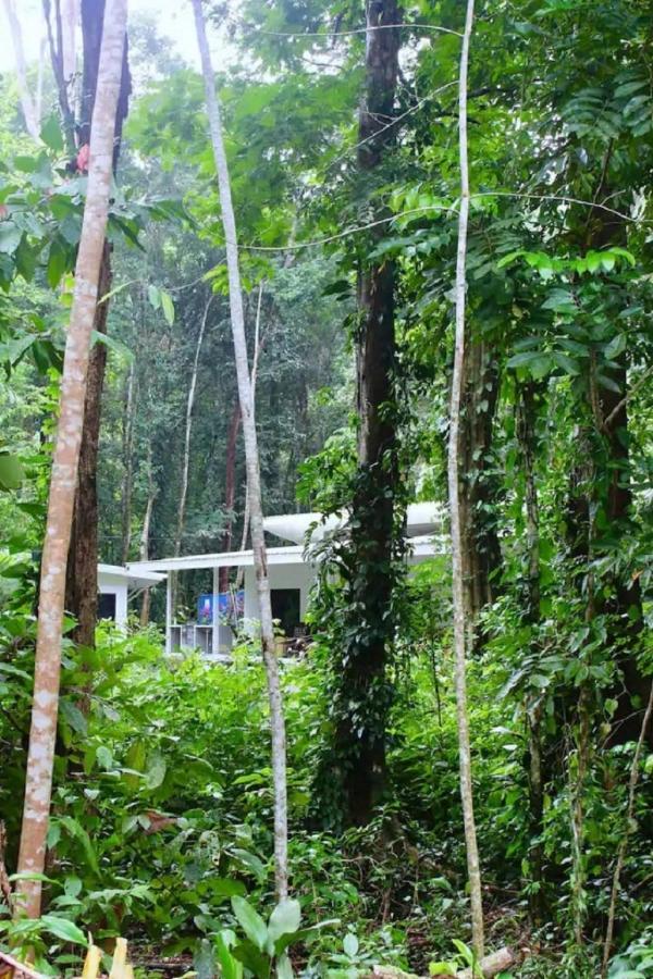 Apartment Casa Eden - Modern Peaceful Jungle *