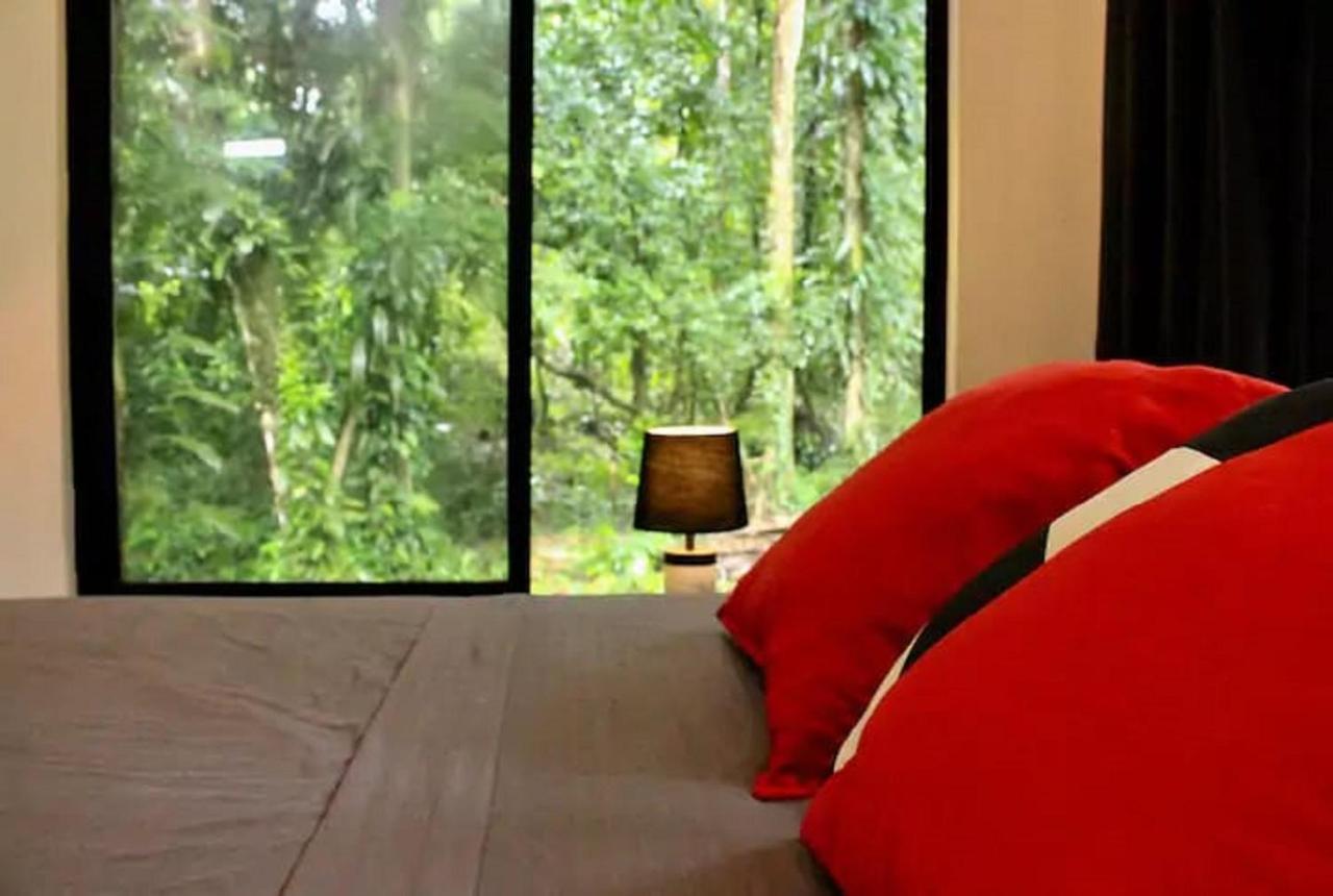 Casa Eden - Modern Peaceful Jungle