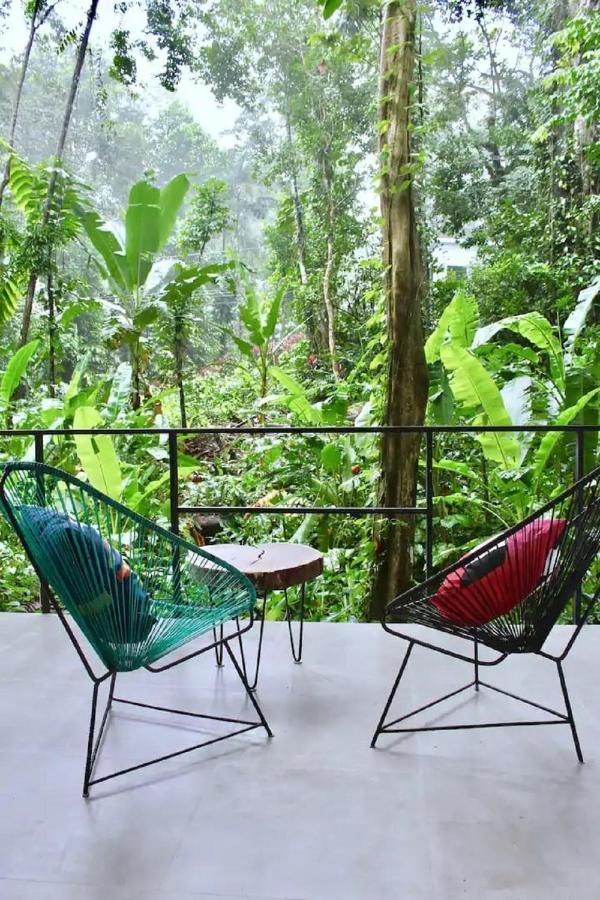 Casa Eden - Modern Peaceful Jungle *