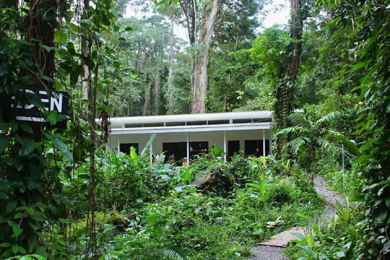 Casa Eden - Modern Peaceful Jungle Apartment *