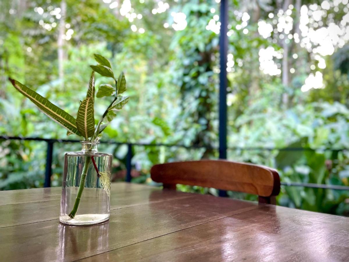 Casa Eden - Modern Peaceful Jungle Apartment Cocles