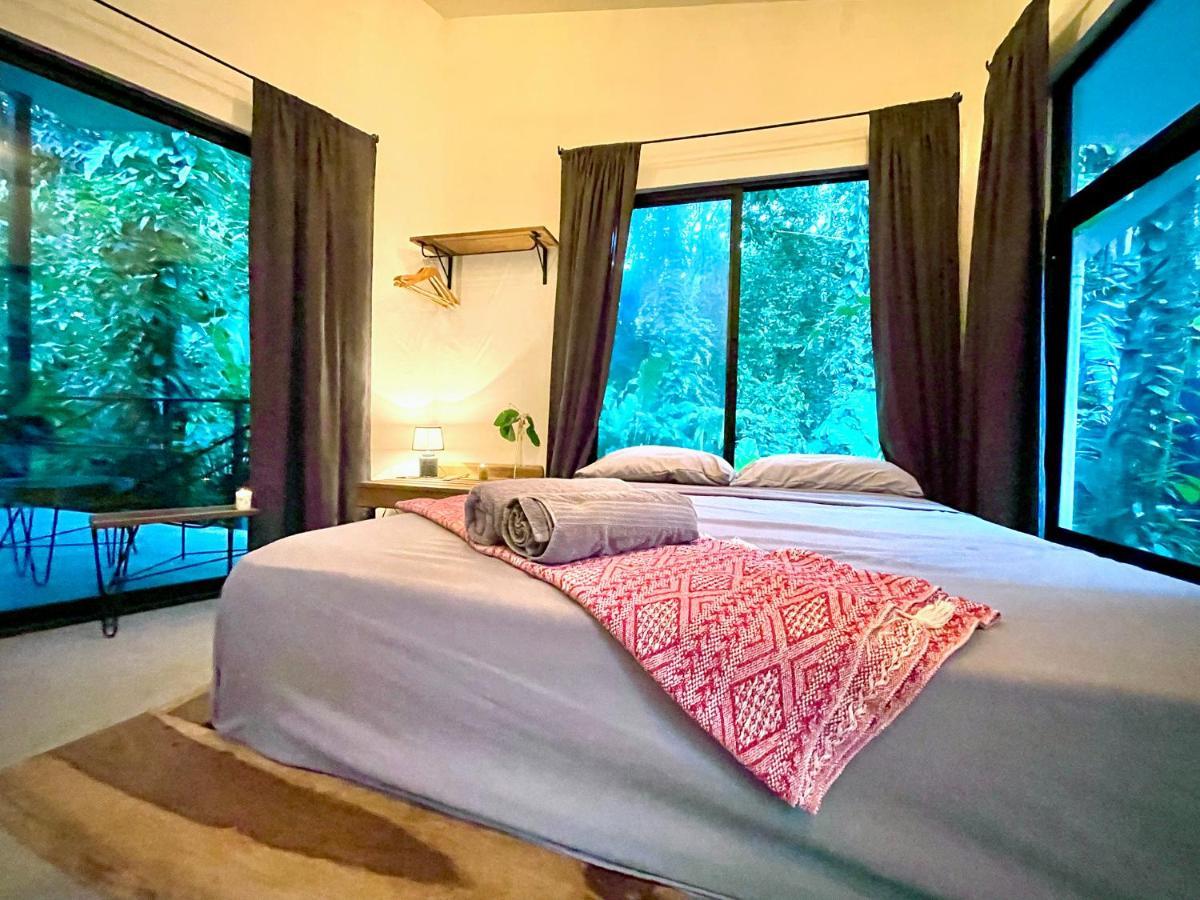 Casa Eden - Modern Peaceful Jungle