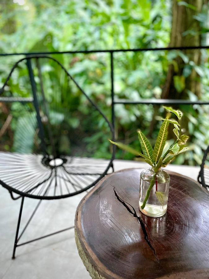 Casa Eden - Modern Peaceful Jungle Cocles