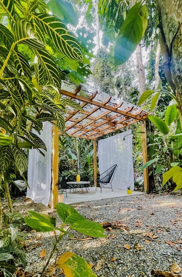 Casa Eden - Modern Peaceful Jungle *