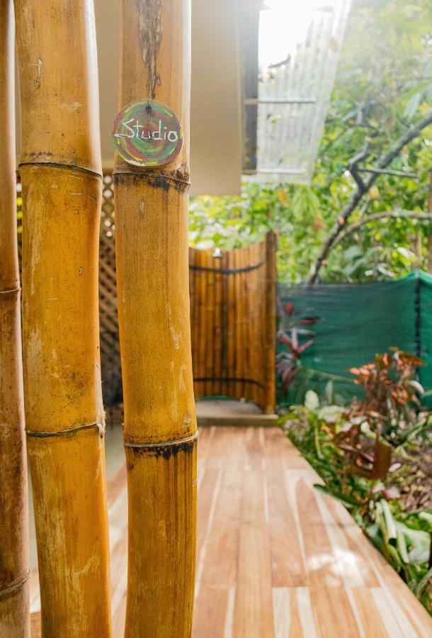 Casa Eden - Modern Peaceful Jungle * Cocles