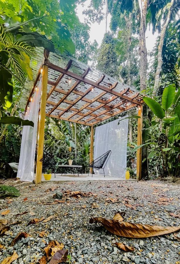Casa Eden - Modern Peaceful Jungle * Cocles