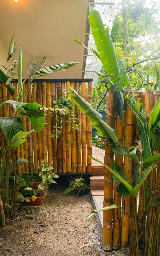 Casa Eden - Modern Peaceful Jungle *