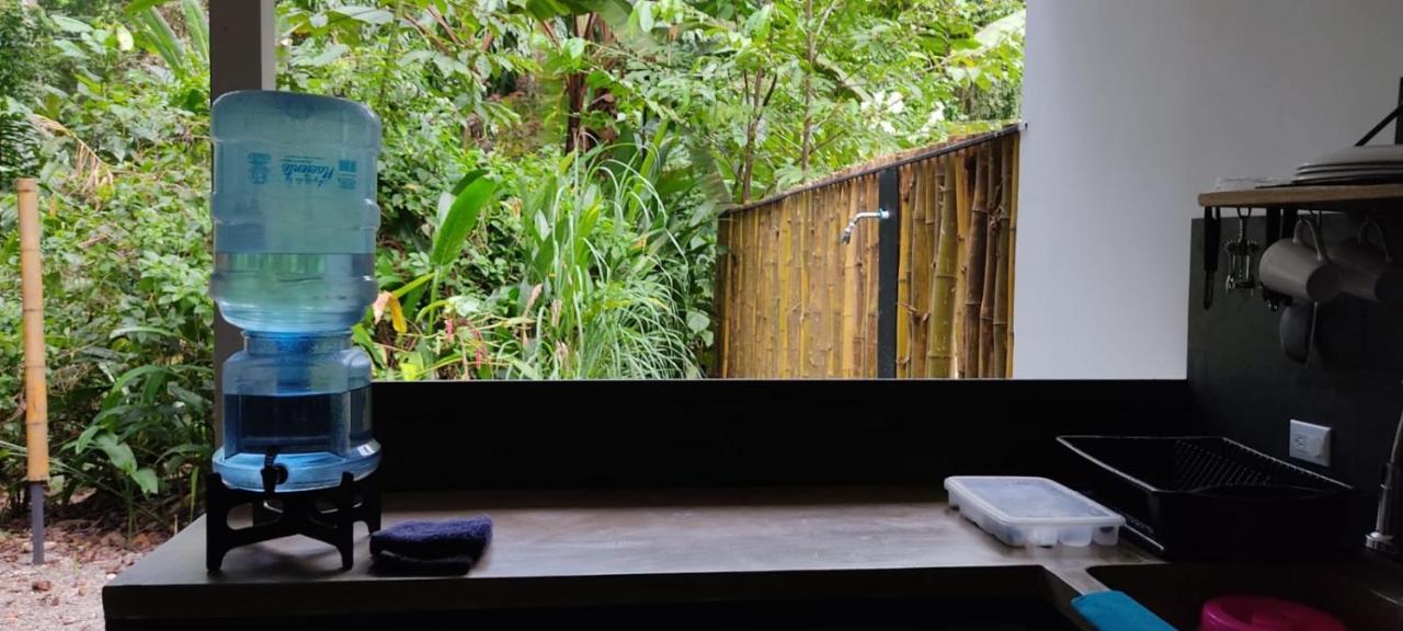 Casa Eden - Modern Peaceful Jungle Apartment