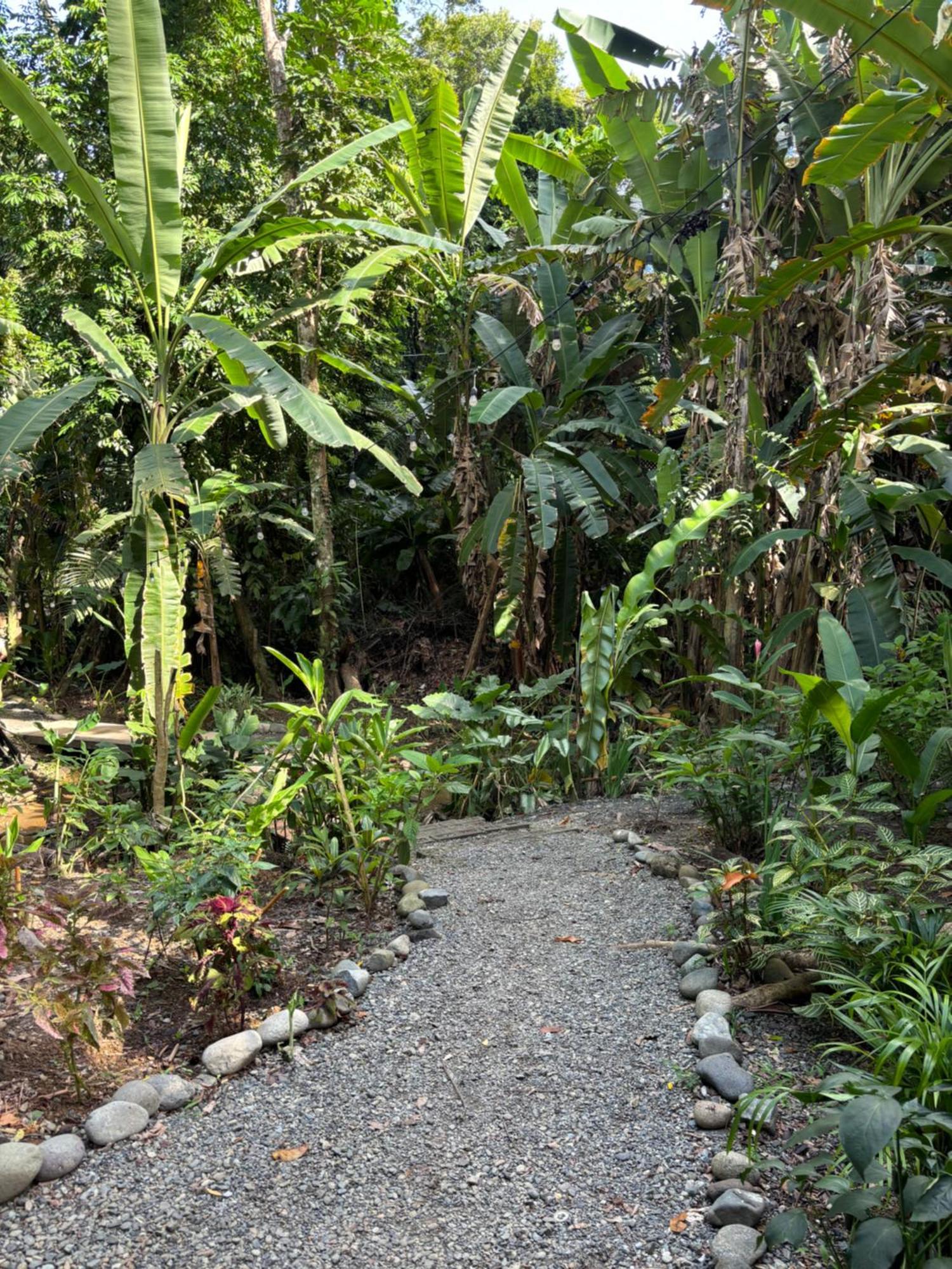 Casa Eden - Modern Peaceful Jungle Apartment