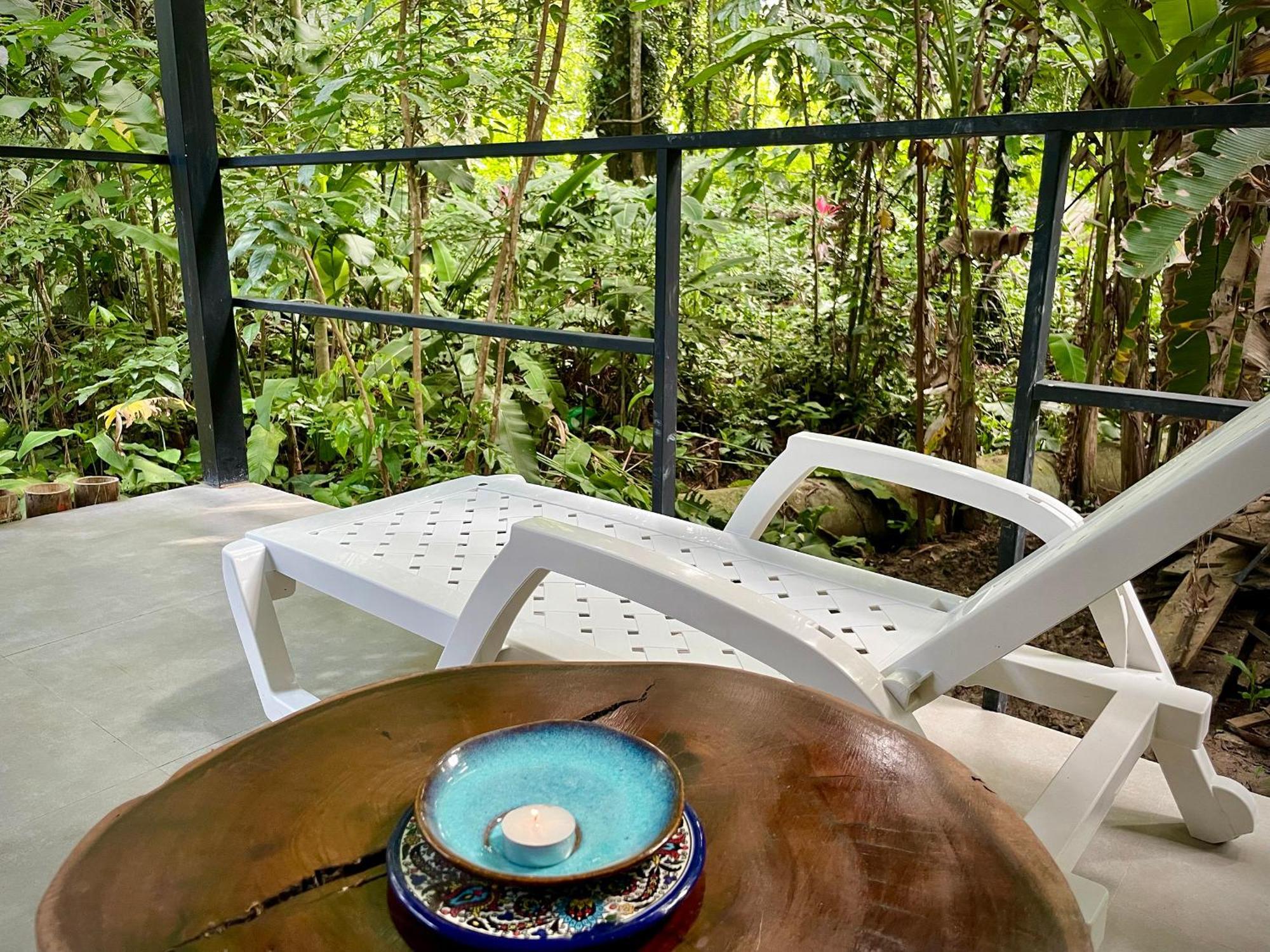 Casa Eden - Modern Peaceful Jungle Apartment