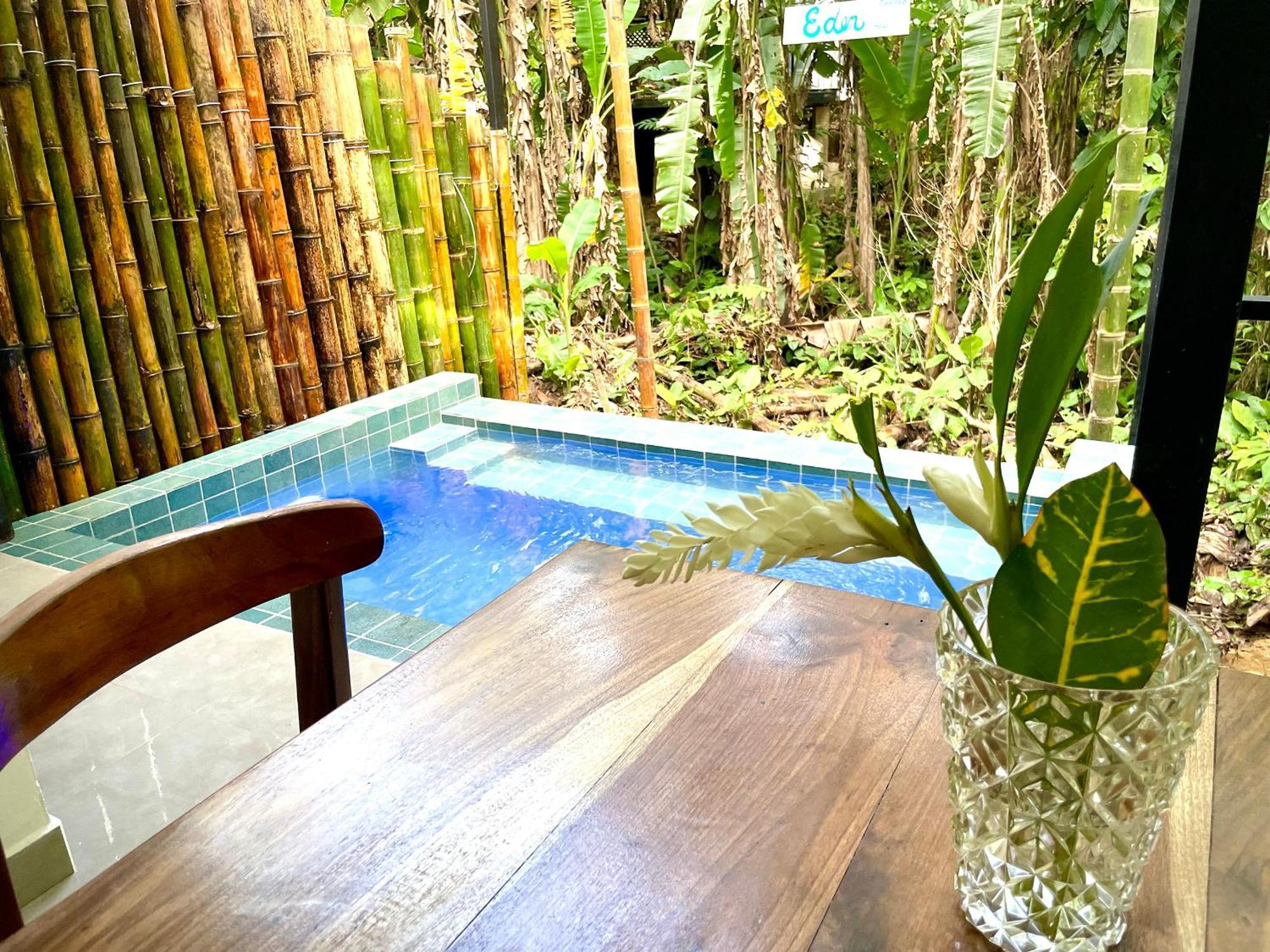 Casa Eden - Modern Peaceful Jungle *