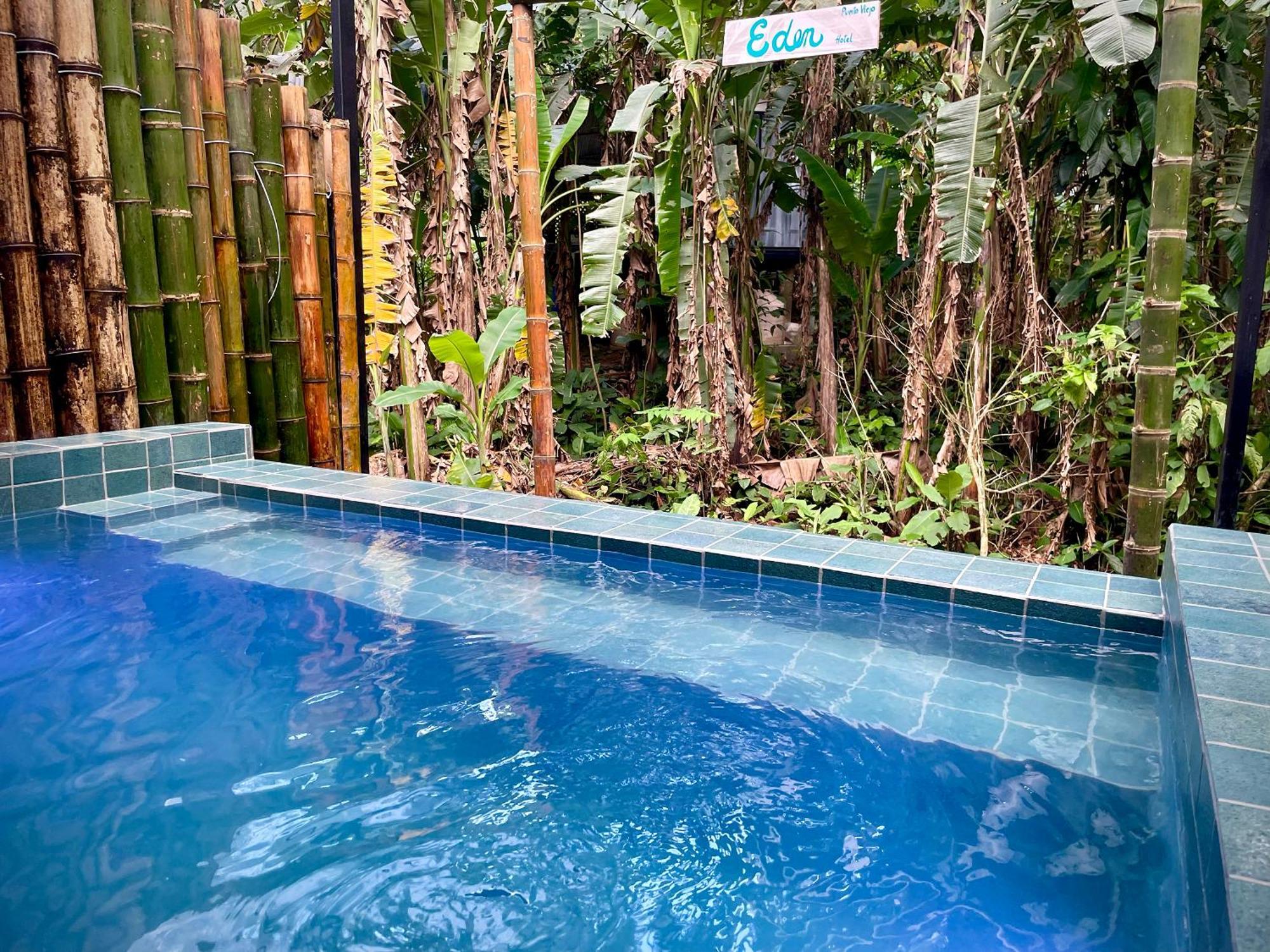 Casa Eden - Modern Peaceful Jungle